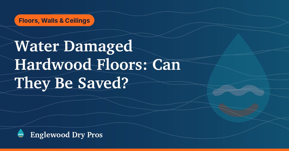 Illustrated guide cover: can water damaged hardwood floors be saved